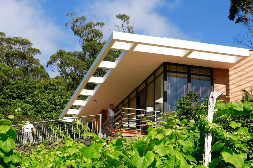 Cottage Ocean View Порто Мониз Екстериор снимка